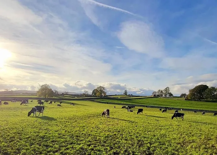 Meadow View