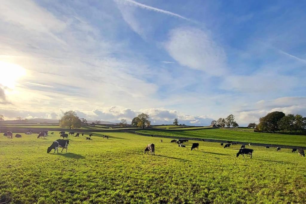 Meadow View Holiday home *